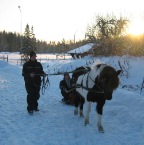 körning3.1.10 010