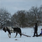 körning3.1.10 076