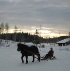 körning3.1.10 032