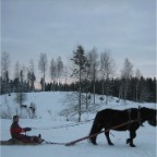 körning3.1.10 092